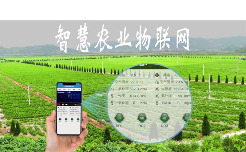 南京松米网络科技:软件开发公司的叙事旅程